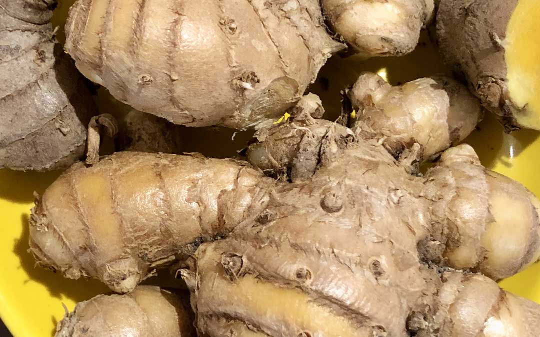 Rhizomes tumeric