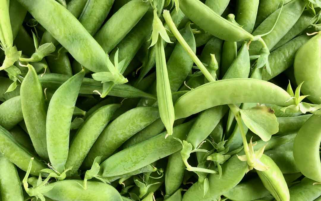 A glut of peas