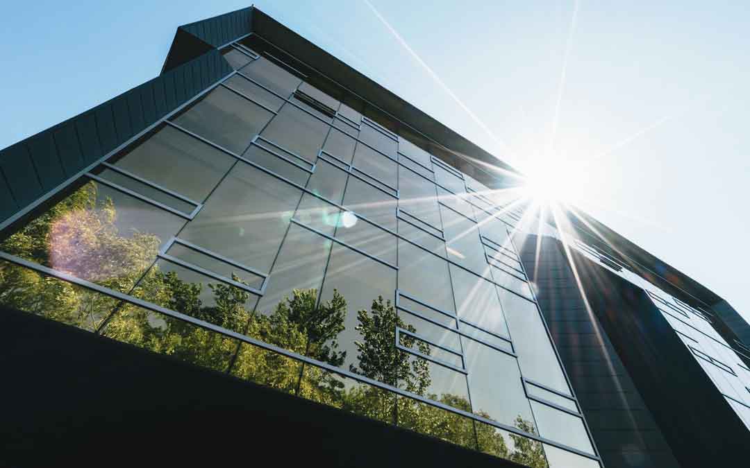 high rise building shaded with trees