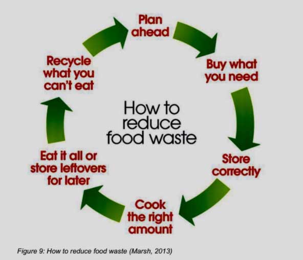 how to reduce food waste