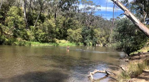 How dirty is the water you're swimming in? - Sustainable Macleod