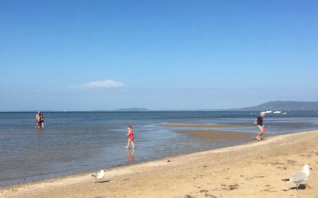 blairgowrie front beach with people swimming