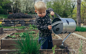 child watering in the garden