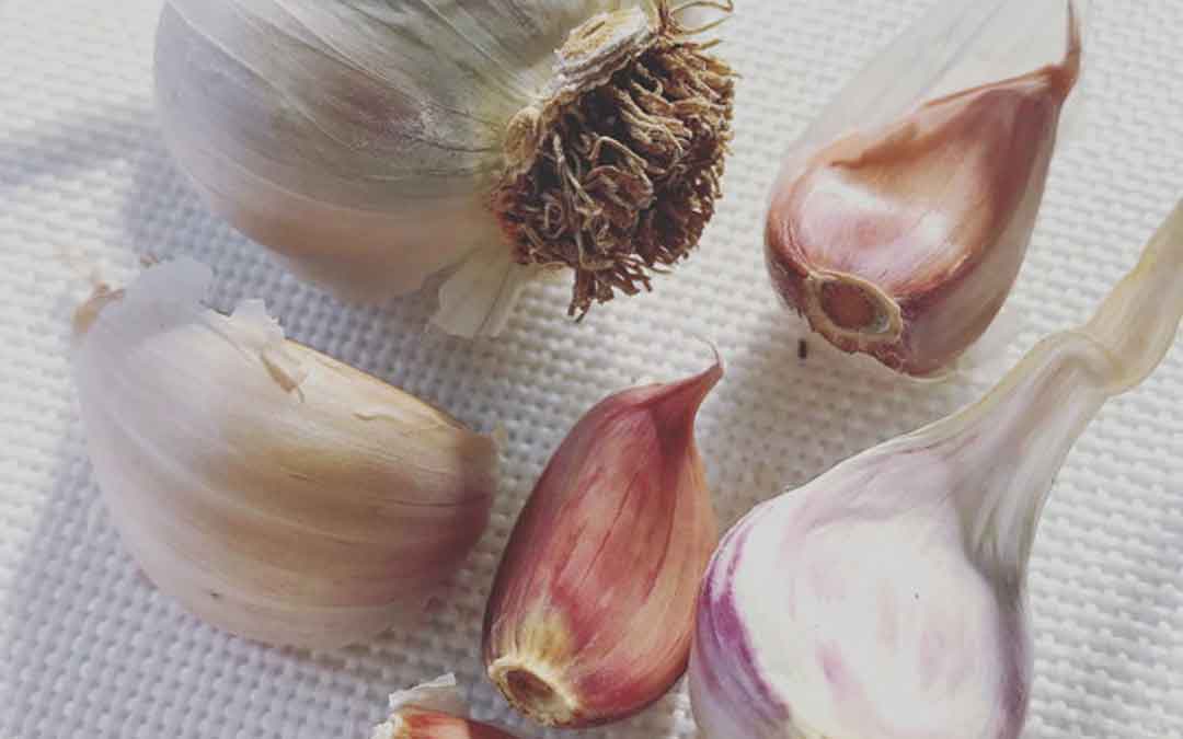 June garlic hint