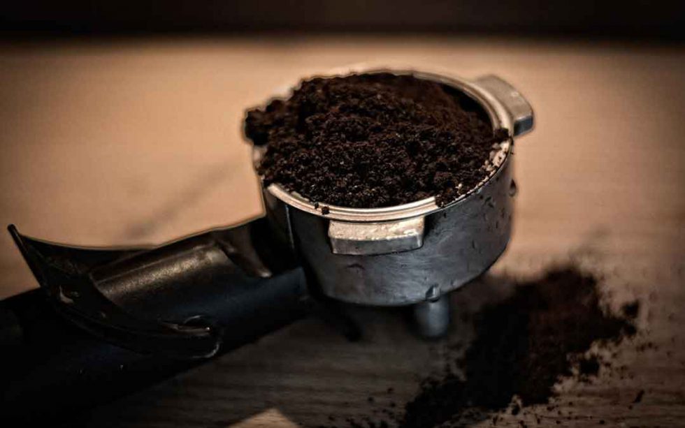 Why used coffee grounds might harm your plants Sustainable Macleod