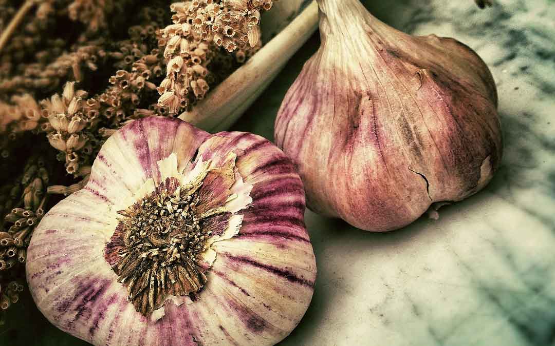 garlic on benchtop