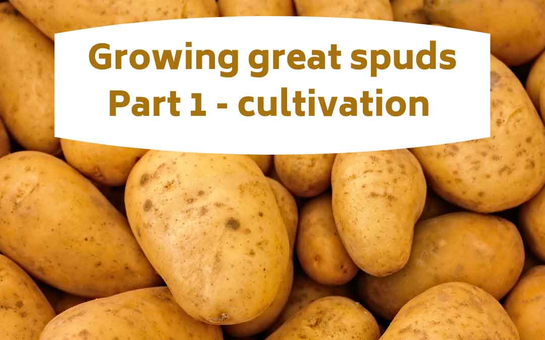 Growing great spuds part 1 – cultivation