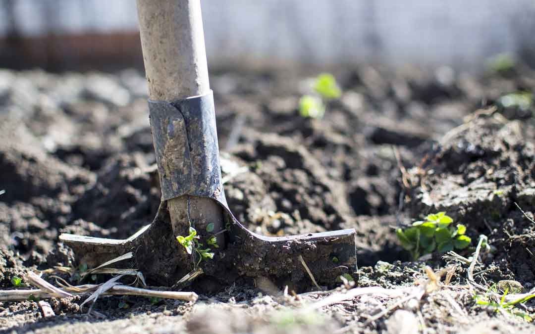 spade digging in soil in the ground