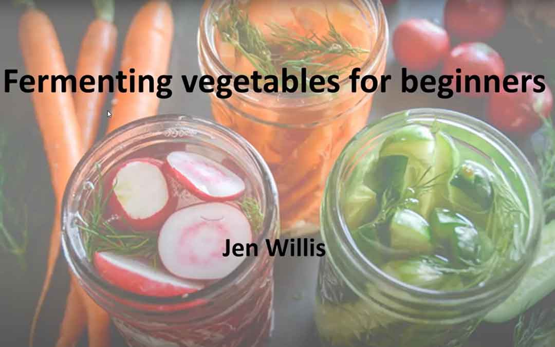 fermenting vegetables