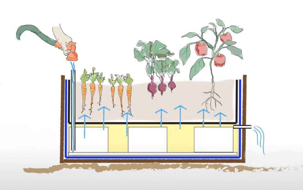 The how and why of wicking beds Sustainable Macleod