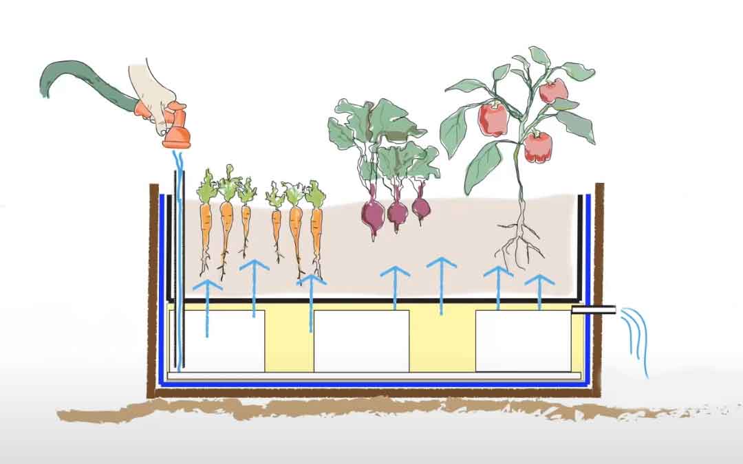 Wicking beds deals