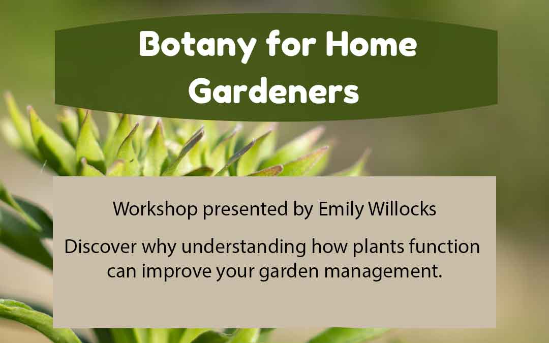 Botany for home gardeners