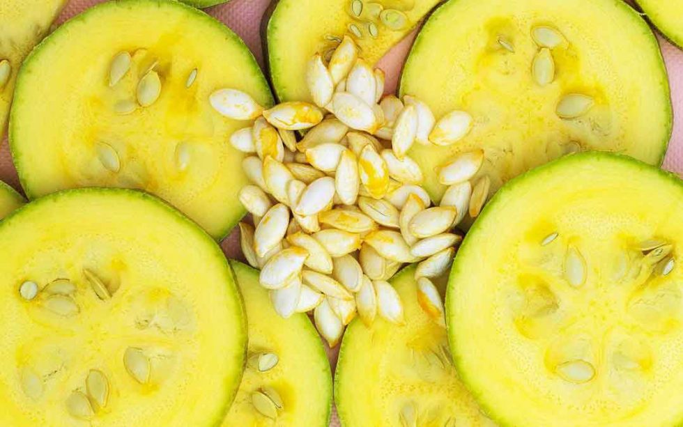 Can I save zucchini seed? Sustainable Macleod