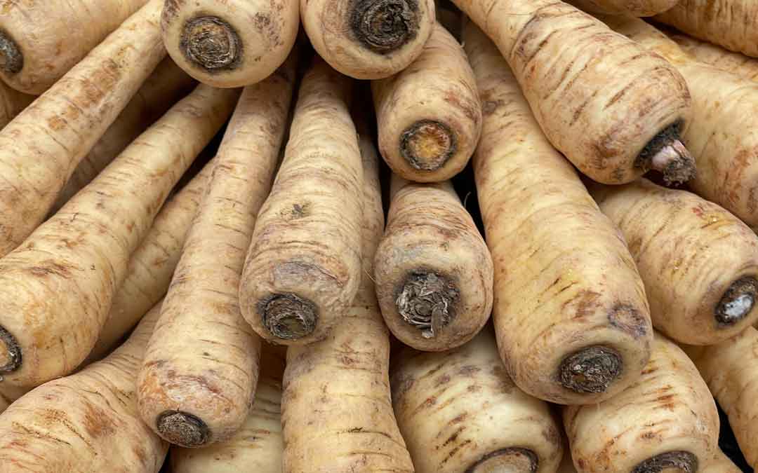 Growing perfect parsnips