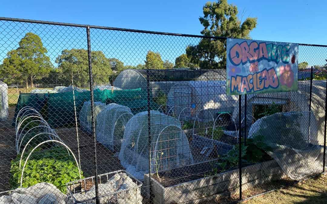 Choosing a community garden
