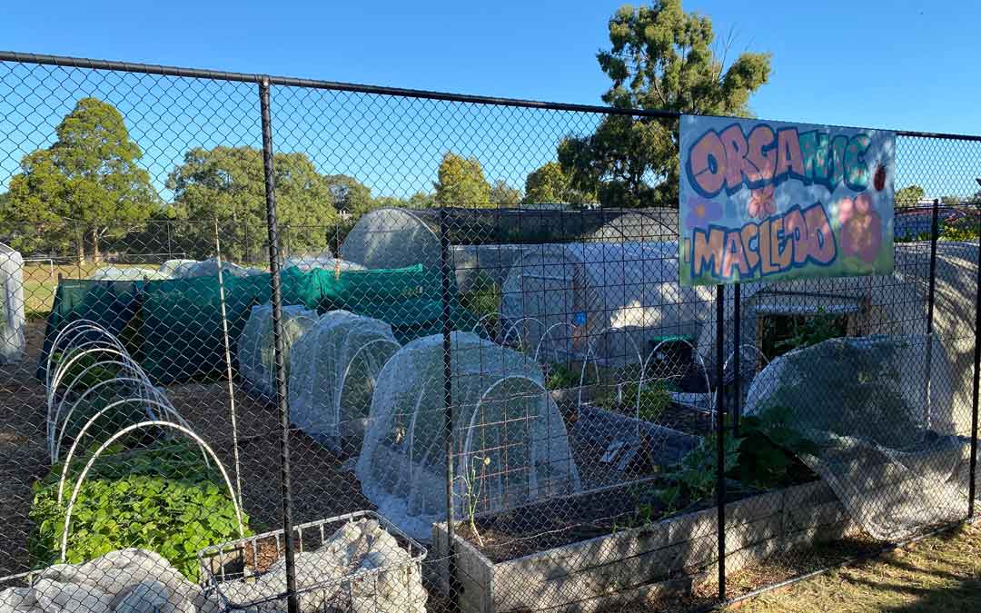 community garden