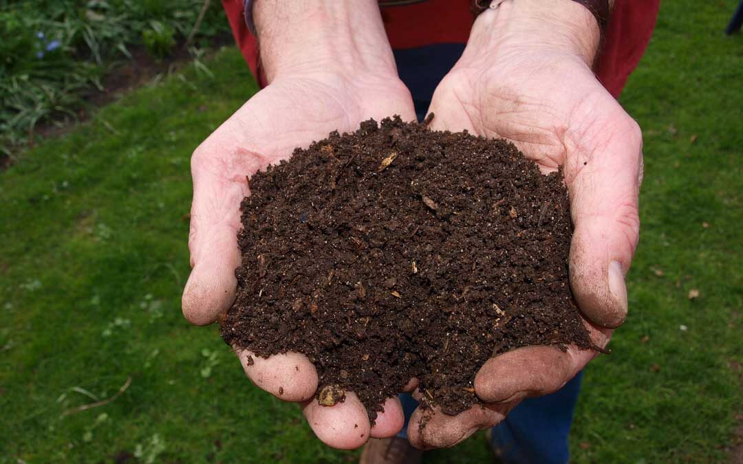 Compost activators, accelerators, starters, boosters, inoculators – do you need to pay for them?