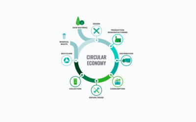 Circular economy: what’s it all about?