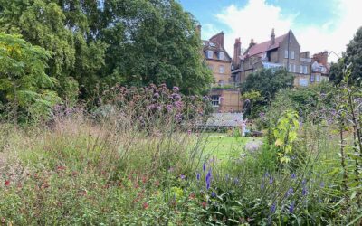 Visiting the Chelsea Physic Garden in London