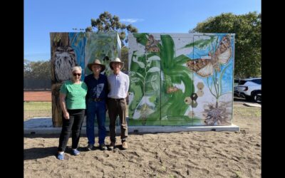 The Banyule community battery launch!
