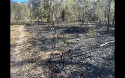 Bringing back balance with ecological burning