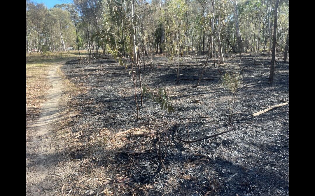 Bringing back balance with ecological burning