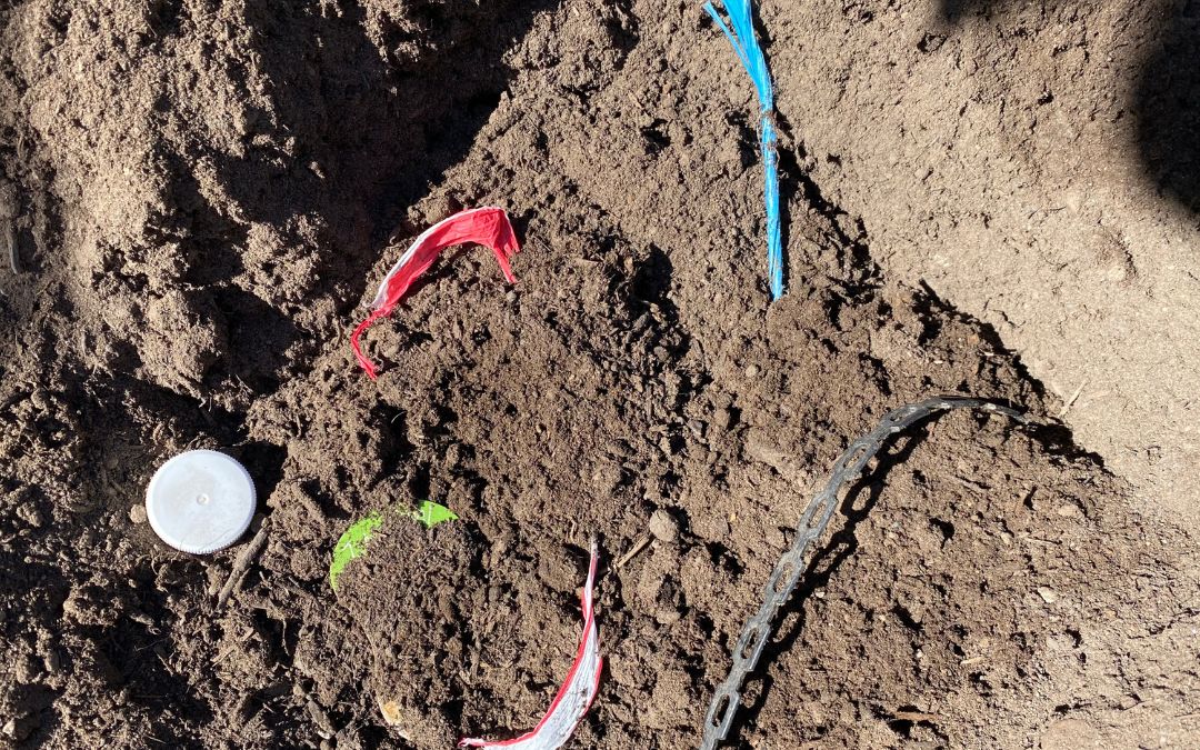 Contaminated Compost