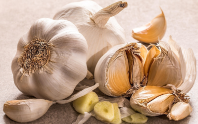 Garlic Hint – July