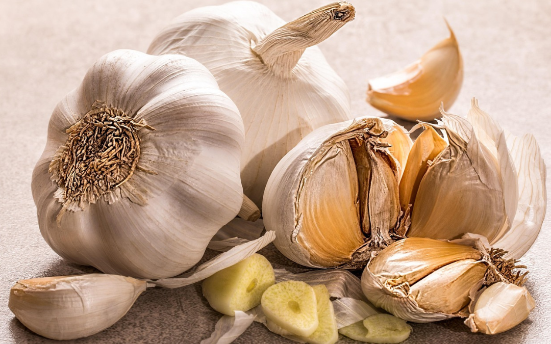 Garlic – July