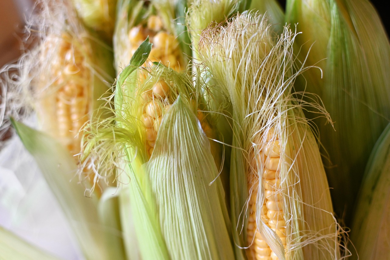 Corn