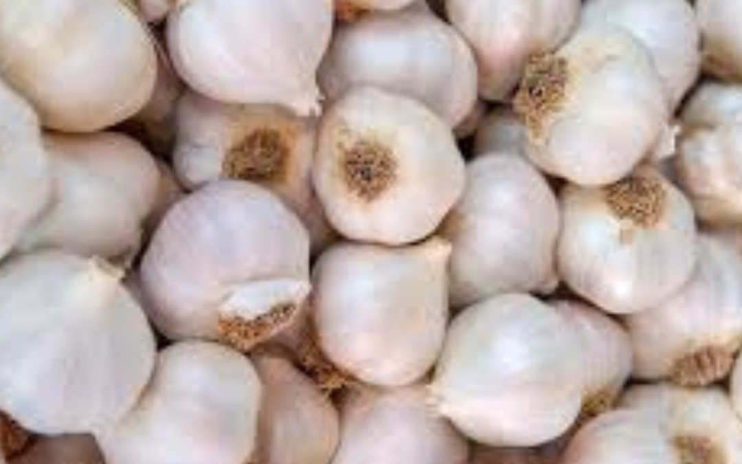 October Garlic Hint
