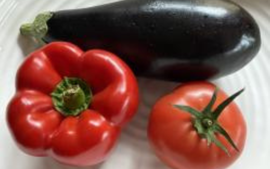 Growing exceptional eggplant and capsicum