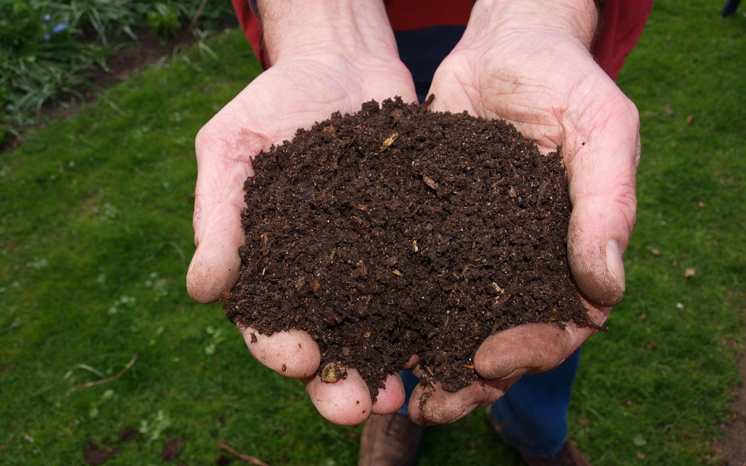 Compost activators, accelerators, starters, boosters, inoculators – do you need them?