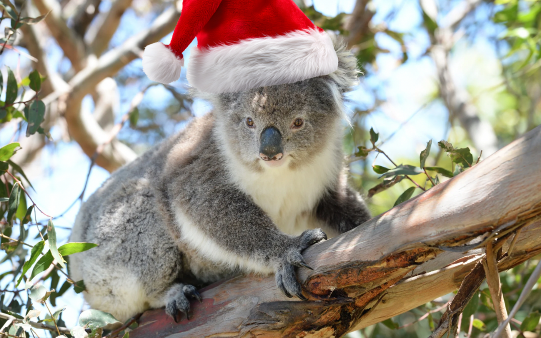 Top Christmas gifts for nature lovers 