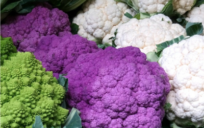 A rainbow of winter vegies