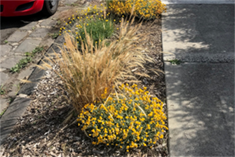 naturestrip